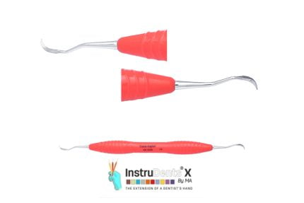 IDX 13019